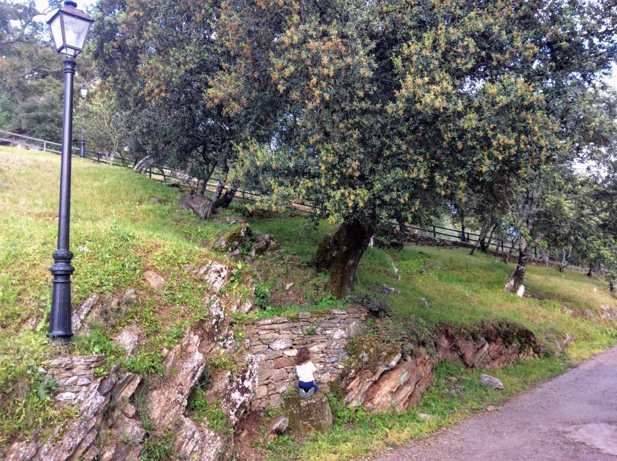 Casa Mandarina Aracena Villa Luaran gambar